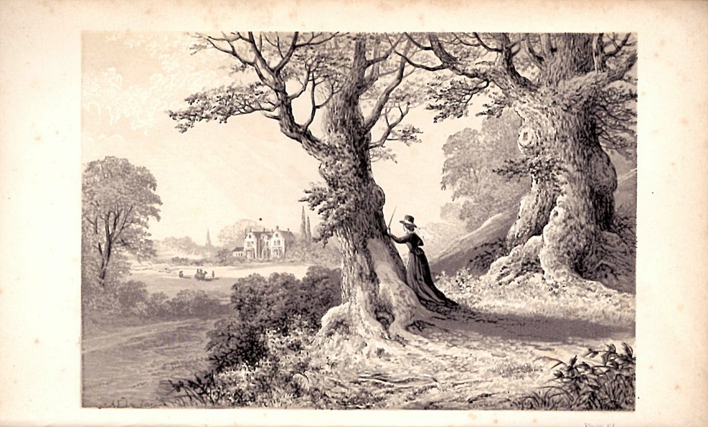 Black and white picture of woman in woods viewing a distant house.